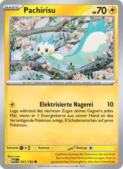 Pachirisu Nr. 051