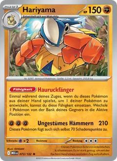 Hariyama Nr. 073