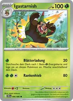 Igastarnish Nr. 006