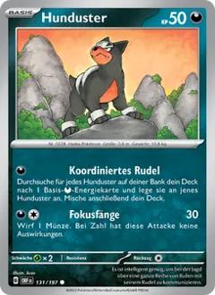 Hunduster Nr. 131