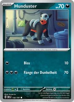 Hunduster Nr. 132