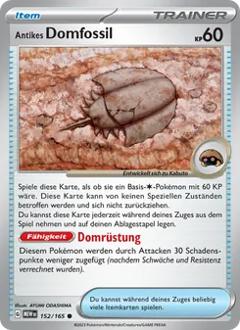 Antikes Domfossil Nr. 152