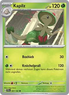 Kapilz Nr. 007