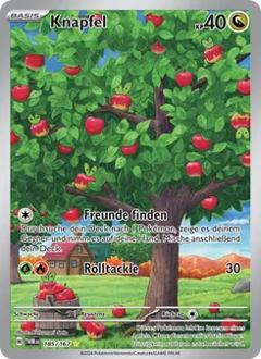 Knapfel Nr. 185
