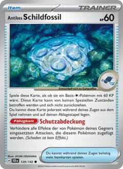 Antikes Schildfossil Nr. 129