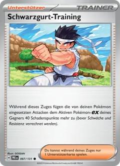 Schwarzgurt-Training Nr. 097