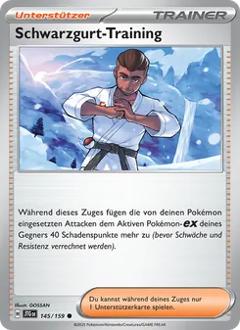 Schwarzgurt-Training Nr. 145