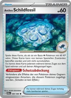 Antikes Schildfossil Nr. 080