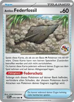 Antikes Federfossil Nr. 079